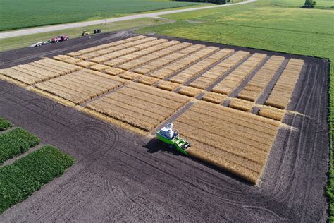 NDSU Small Grains Homepage — Small Grains