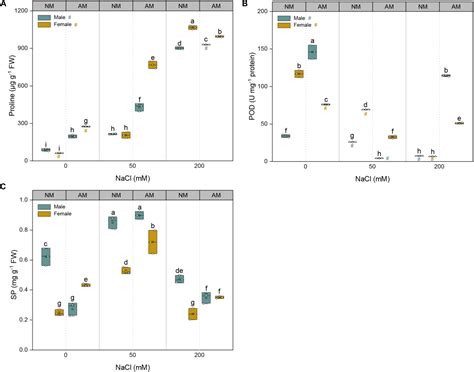 Frontiers Sex Specific Differences In The Physiological And