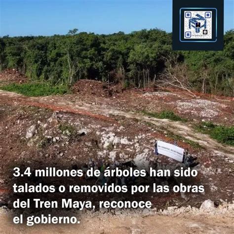 3 4 millones de árboles han sido talados o removidos por obras del Tren