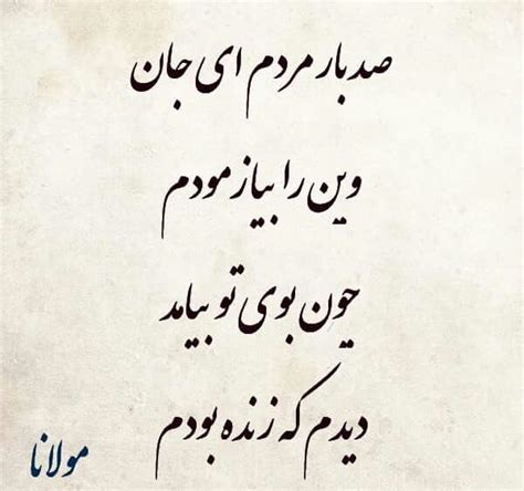 جناب مولانا Cool Words Persian Quotes Farsi Quotes