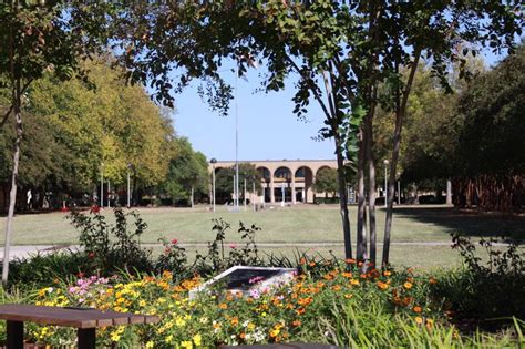 18 best images about LSUS Campus on Pinterest | Beautiful, Student and Circles