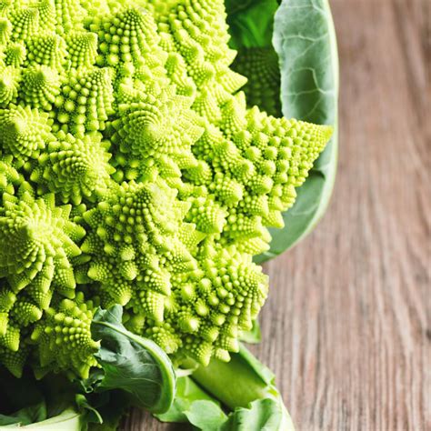 Romanesco Wissenswertes über den Romanesco Salat ch