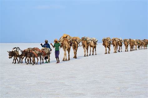 Sphere Tour Travel Addis Ababa Lo Que Se Debe Saber Antes De