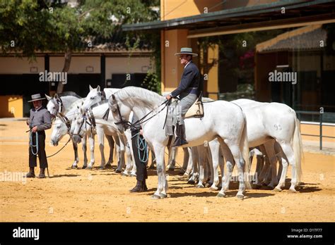 Jerez de la Frontera, Spain, horse show at the Stud Farm Yeguada de la ...