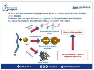 ALZHEIMER FISIOPATOLOGÍA pptx