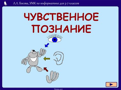 Чувственное познание - презентация онлайн