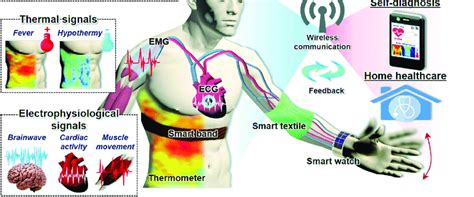 Human Body Biosignals And The Healthcare Sensors That Measure Them