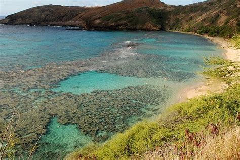 Tripadvisor Snorkelen In Hanauma Bay Aangeboden Door Kaimana Tours