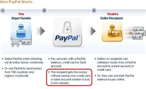 The Muse How Does Paypal Work