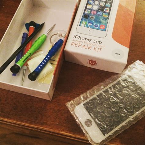 Blue Giraffes and Concrete Jungles