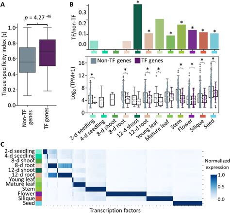 Spatiotemporal Gene Expression Atlas Of The Extremophyte Schrenkiella