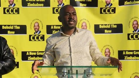 Zimbabwe 2023 Elections: ZANU PF Seeks Disqualification Of CCC Candidates