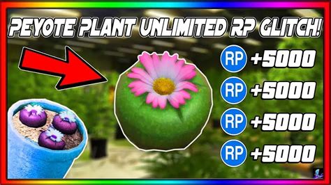 SOLO IT S BACK PEYOTE PLANT RP GLITCH IN GTA 5 ONLINE 5000 RP EVERY