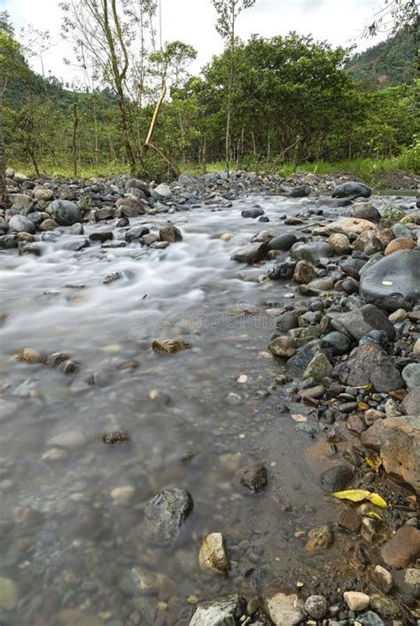 River Water Flowing Down Stream Mindo Ecuador Stock Image Image Of