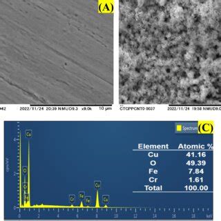 Sem Images Of A Bare Ss And B Cuo Ss Electrode Surface C