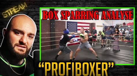 Edmon Reagiert Auf Smolik Box Sparring Gg Einen Profi Stream