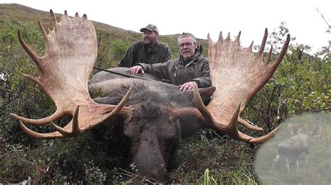 Alaska Yukon Bull Moose Hunter Takes This Big Alaska Yukon Moose