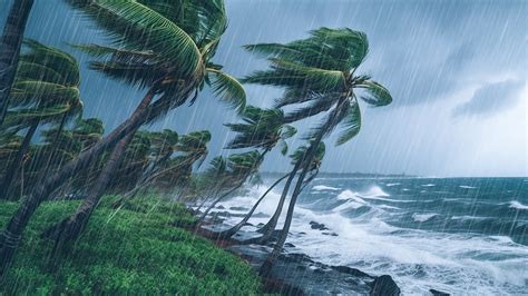 Beat Insomnia With Real Hurricane Heavy Rainstorm Wind Dense