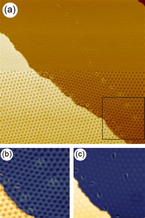 A Demonstration Of The Contrast Inversion On The Fly During Stm Download Scientific