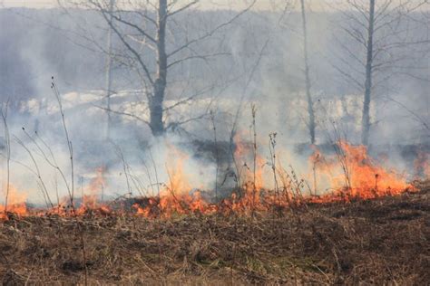 Smoky Skies In Fayette Coming From Controlled Burn In Jasper County