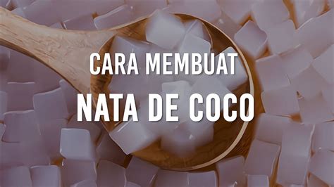 Cara Membuat Nata De Coco YouTube