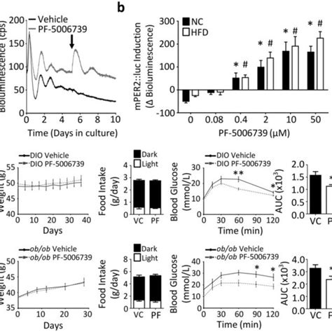 Chronic Hfd Feeding Is Associated With Adipose Tissue Inflammation And