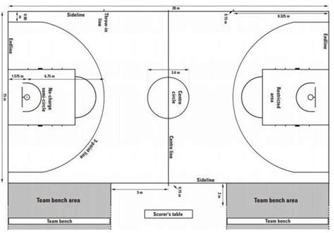Las Medidas De La Cancha De Basquetbol Lifeder