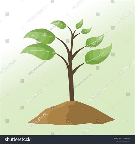 38 Process Shutterstock Images Stock Photos And Vectors Shutterstock