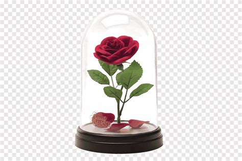 Rosa Bela E A Fera Png - Bela e a fera rosa encantada, Bela Besta Lumière Ariel A Walt Disney ...