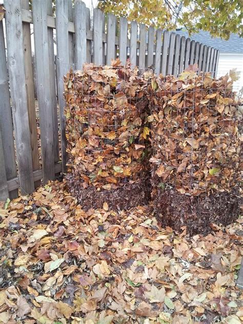 Making Leaf Mold Compost - Recommended Tips