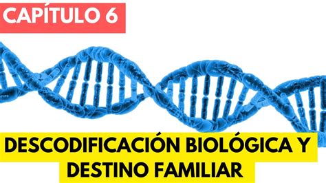 Libro Biodescodificacion Y Destino Familiar Resumen Parte Youtube