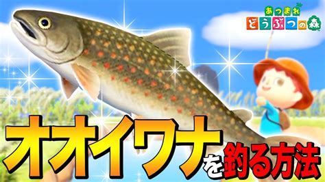 【あつ森】魚影バグ？歩く魚「オオイワナ」を釣る方法 ～char～【あつまれ どうぶつの森】 Youtube