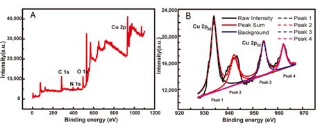 A XPS Survey Spectrum And B Deconvoluted Cu 2p Spectra For