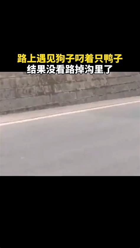 永远不知道下一秒会发什么 “惊涛视频”主播视频直播 “惊涛视频”视频直播 万佳直播吧主播专栏