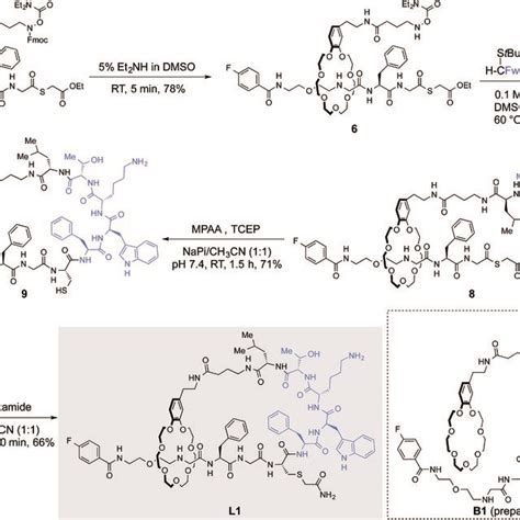 Synthesis Of Lasso Peptide L For Simplicity Only One Of The