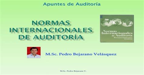 Apuntes de Auditorías69071cbe34067299 jimcontent download