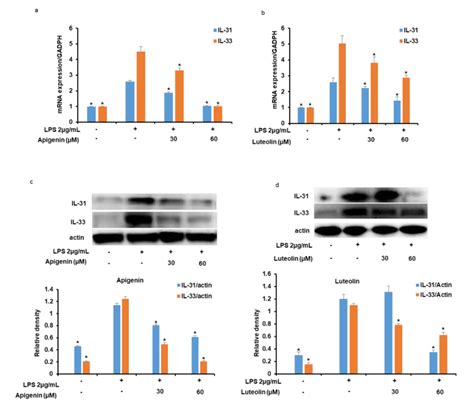 Apigenin And Luteolin Inhibit Lps Induced Intracellular Expression Of