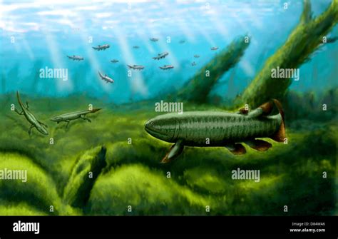 Devonian Animals High Resolution Stock Photography and Images - Alamy