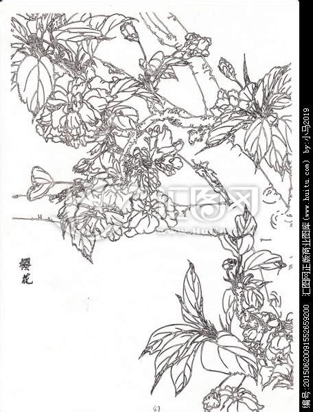 百花园林简笔画 简笔画图片大全 普车都