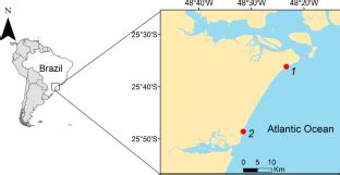 Crystallographic Characterization Of Otoliths From Larimus Breviceps