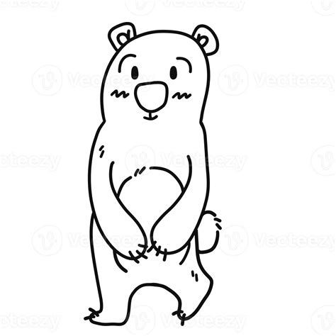 cute line bear 24727894 PNG