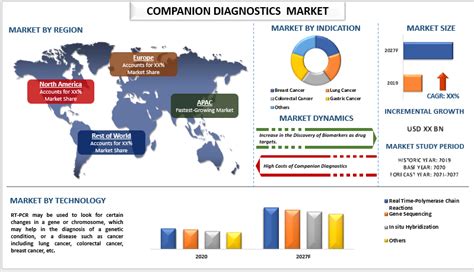 Companion Diagnostics Market Analysis Share Size Growth