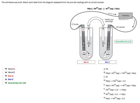 Solved The cell below was built. Match each label from the | Chegg.com 