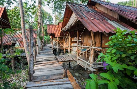 Cabane En Bois Luxuriante D une île Tropicale Forêt De Jungle Avec Des