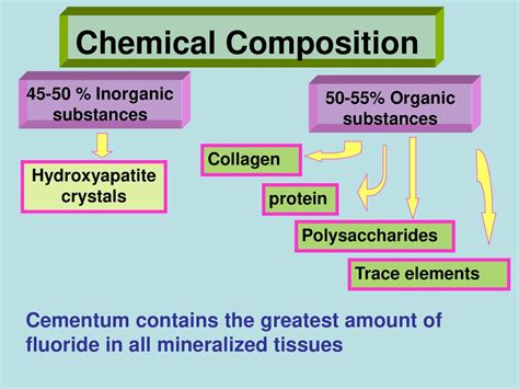 Cementum Ppt Download