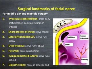 Surgical Anatomy Of Facial Nerve Ppt