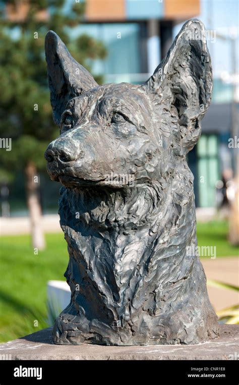 Statue Of Petra The Dog In The Bbcs Blue Peter Garden At Mediacityuk
