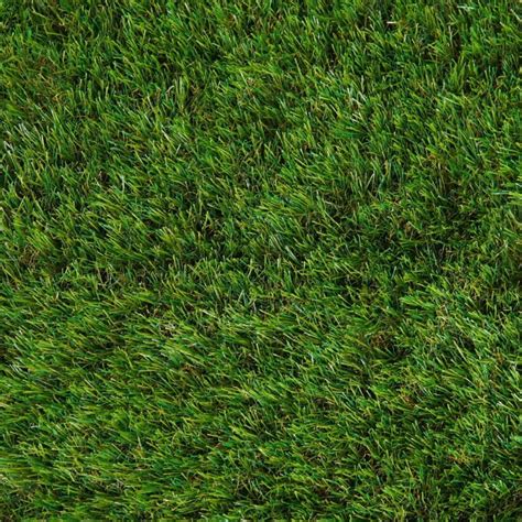 Dakota Fields Brioney 40mm Premium Artificial Grass For Lawn Non Slip