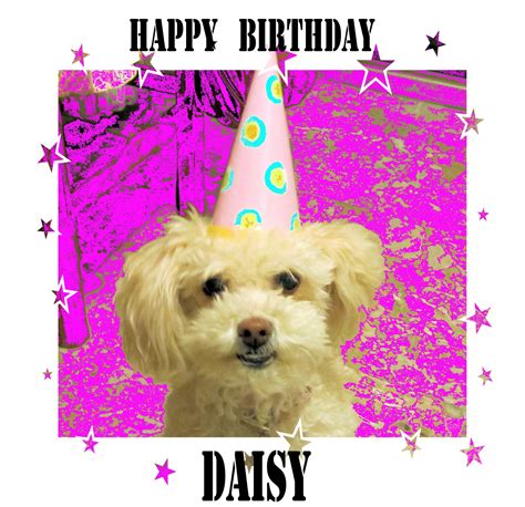 BIRD ON HER HEAD: Happy Birthday Daisy!!