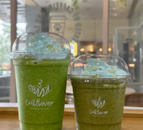 Matcha Cheesecake Frappe - Wiltlover Café